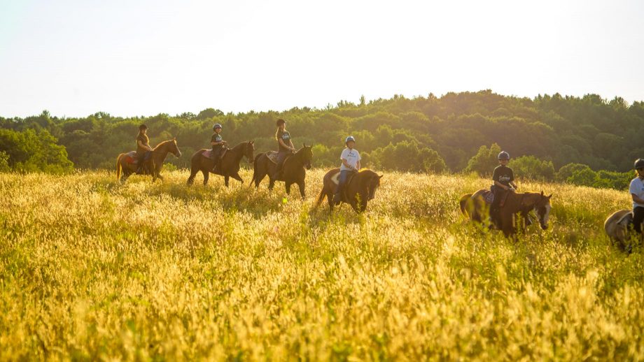 Campers ride horses through field at sunset