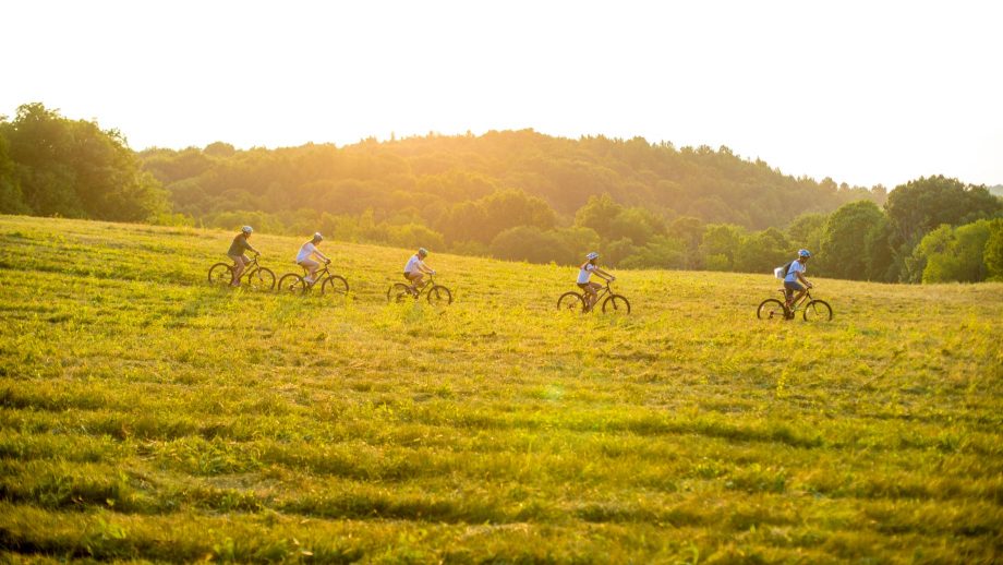 Group mountain bikes through field at sunset