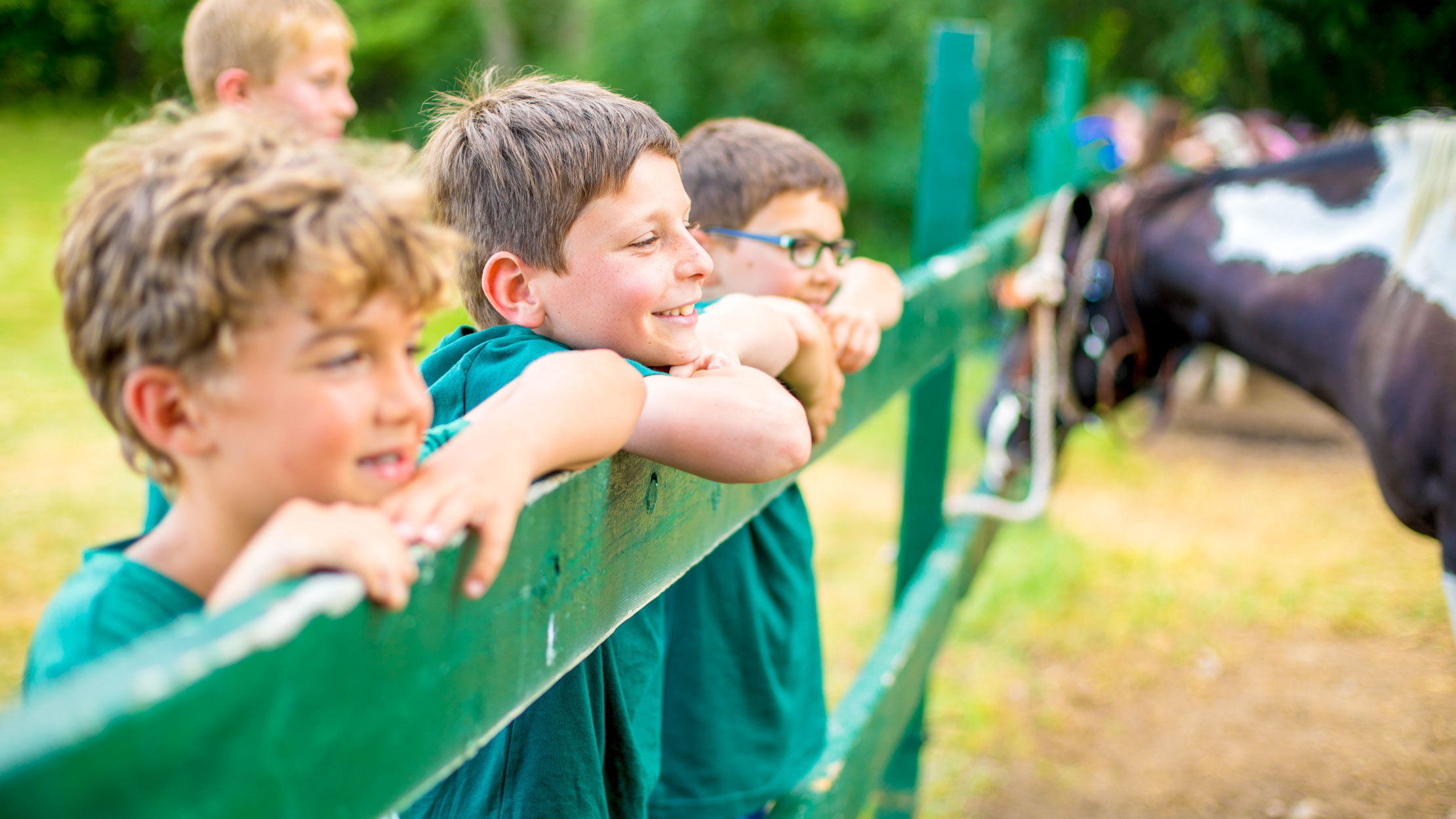 Boys lean against fence of horse paddock