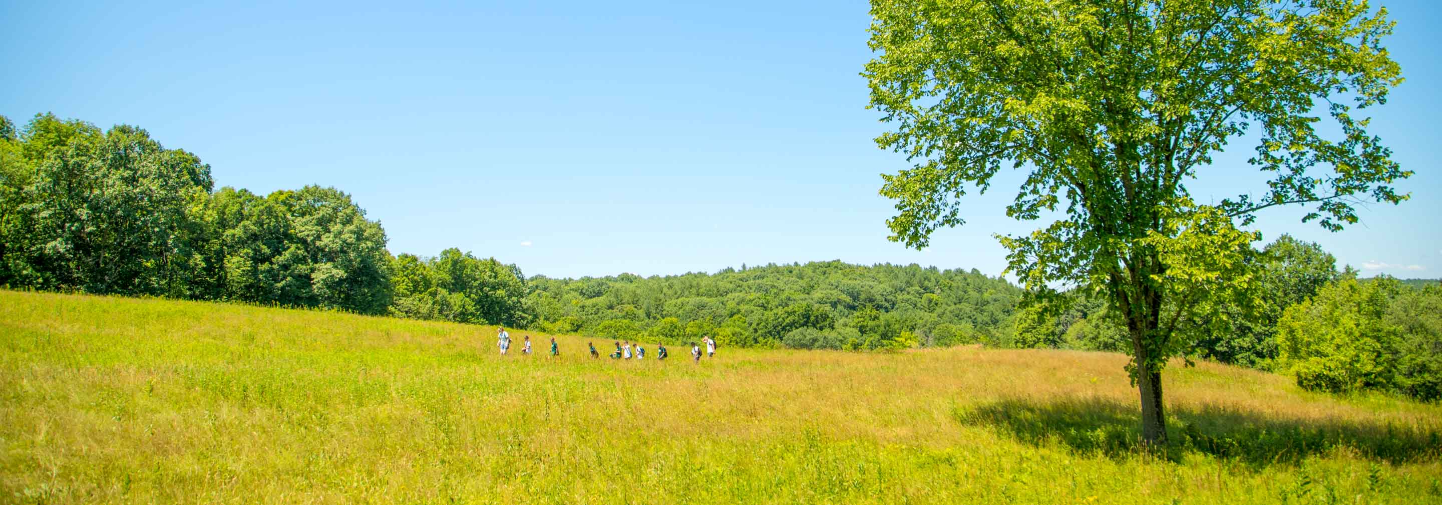 Campers hiking in a field