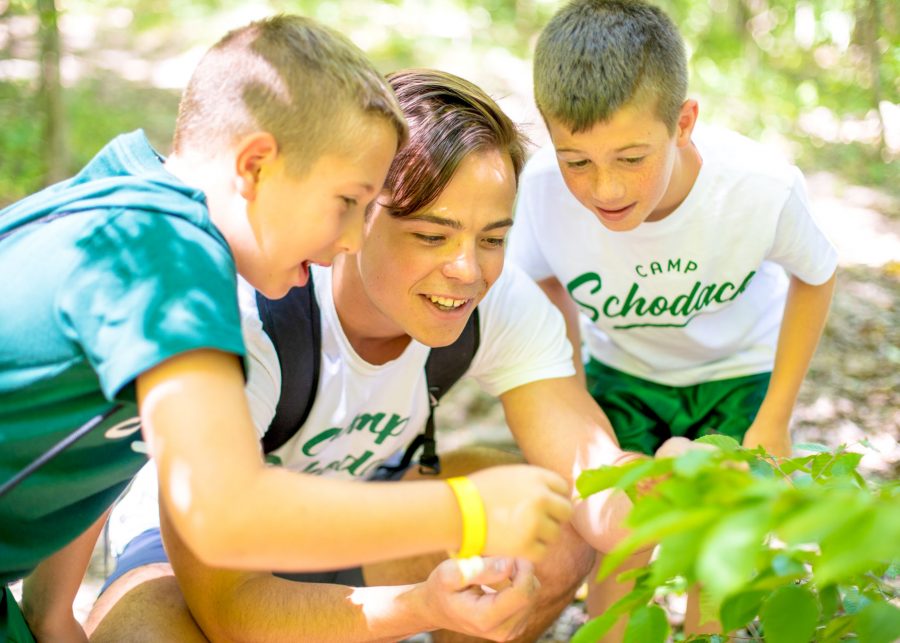 Staff member and two campers look at a plant