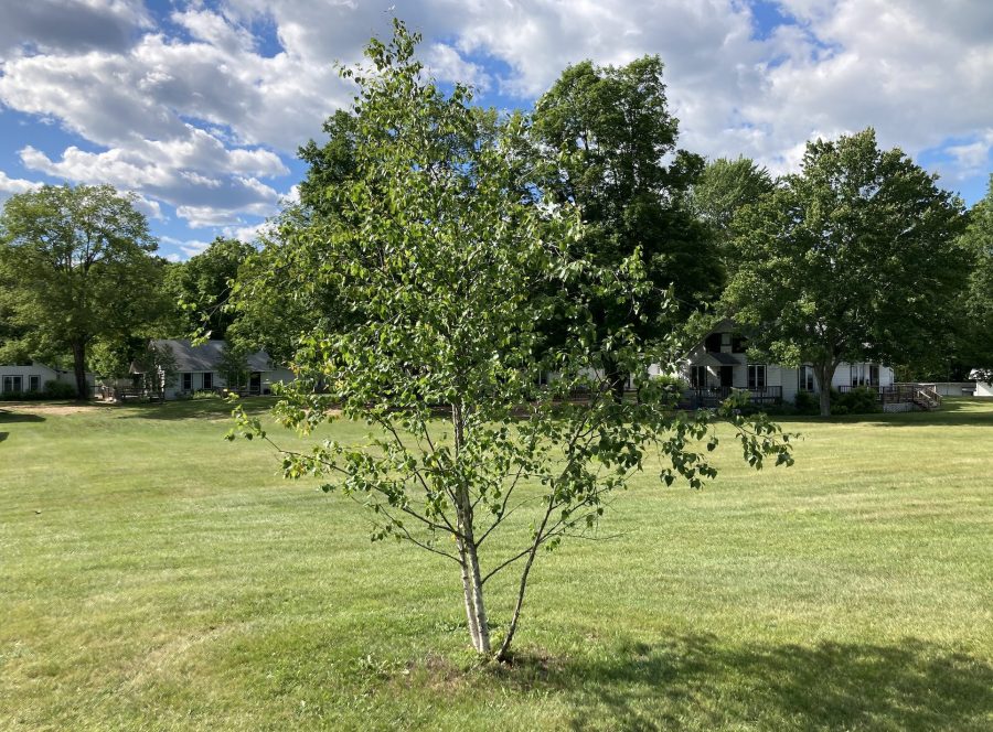 Change of Bunk and Team Names Camp Schodack